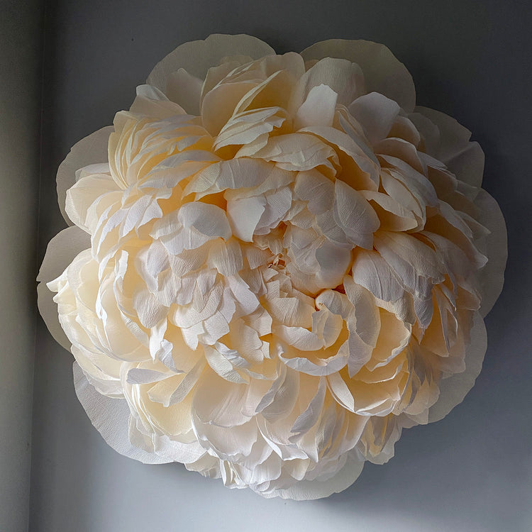 Large Works | Peonies