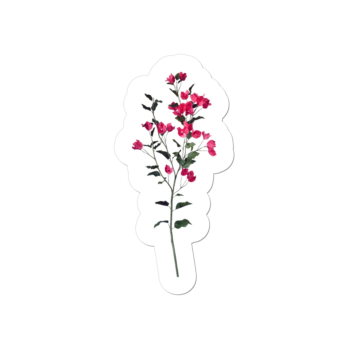 Bougainvillea Sticker