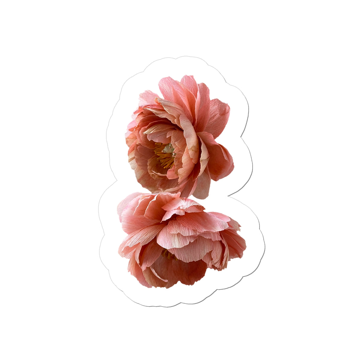 Coral Charm Sticker