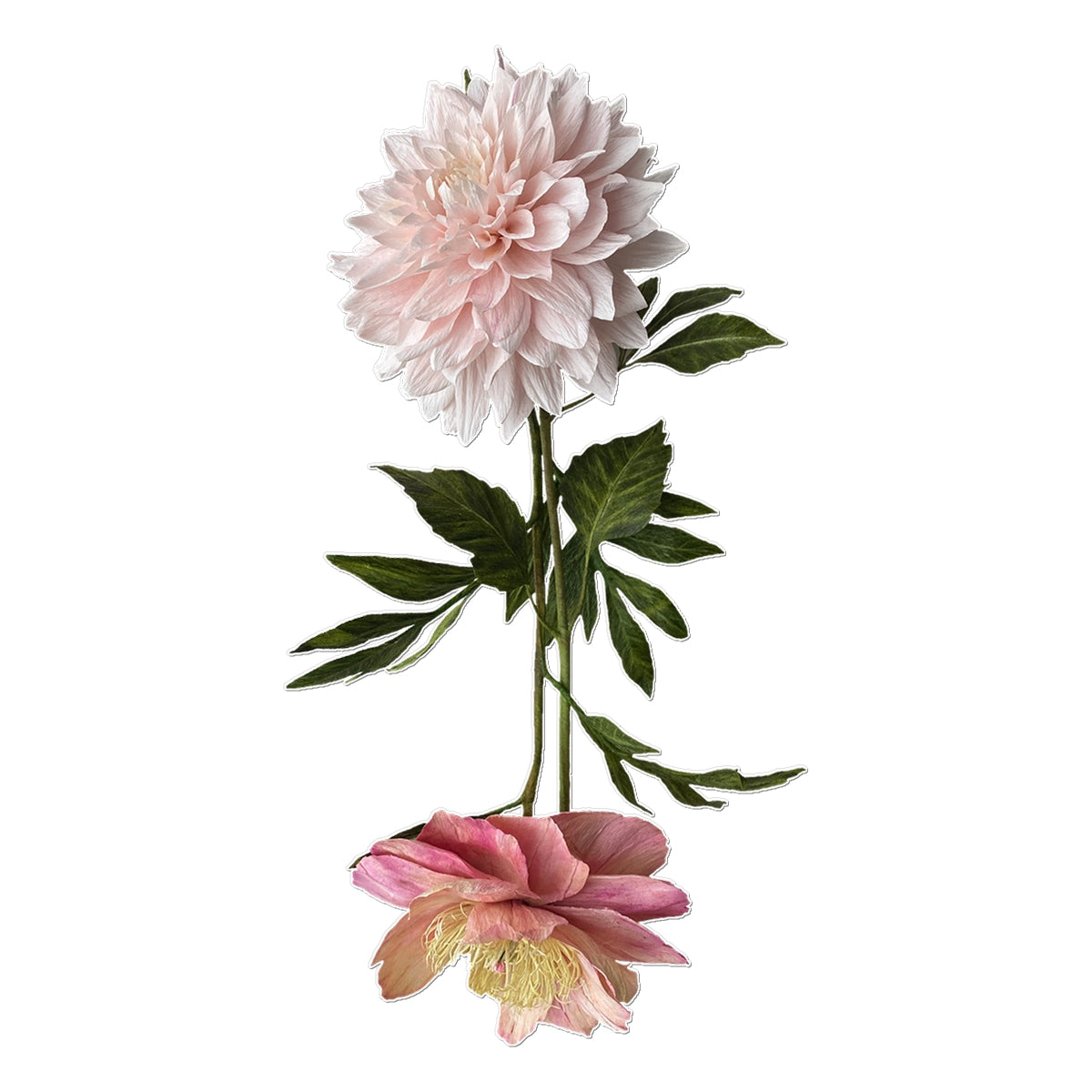 Tímabundið blómatattú saman