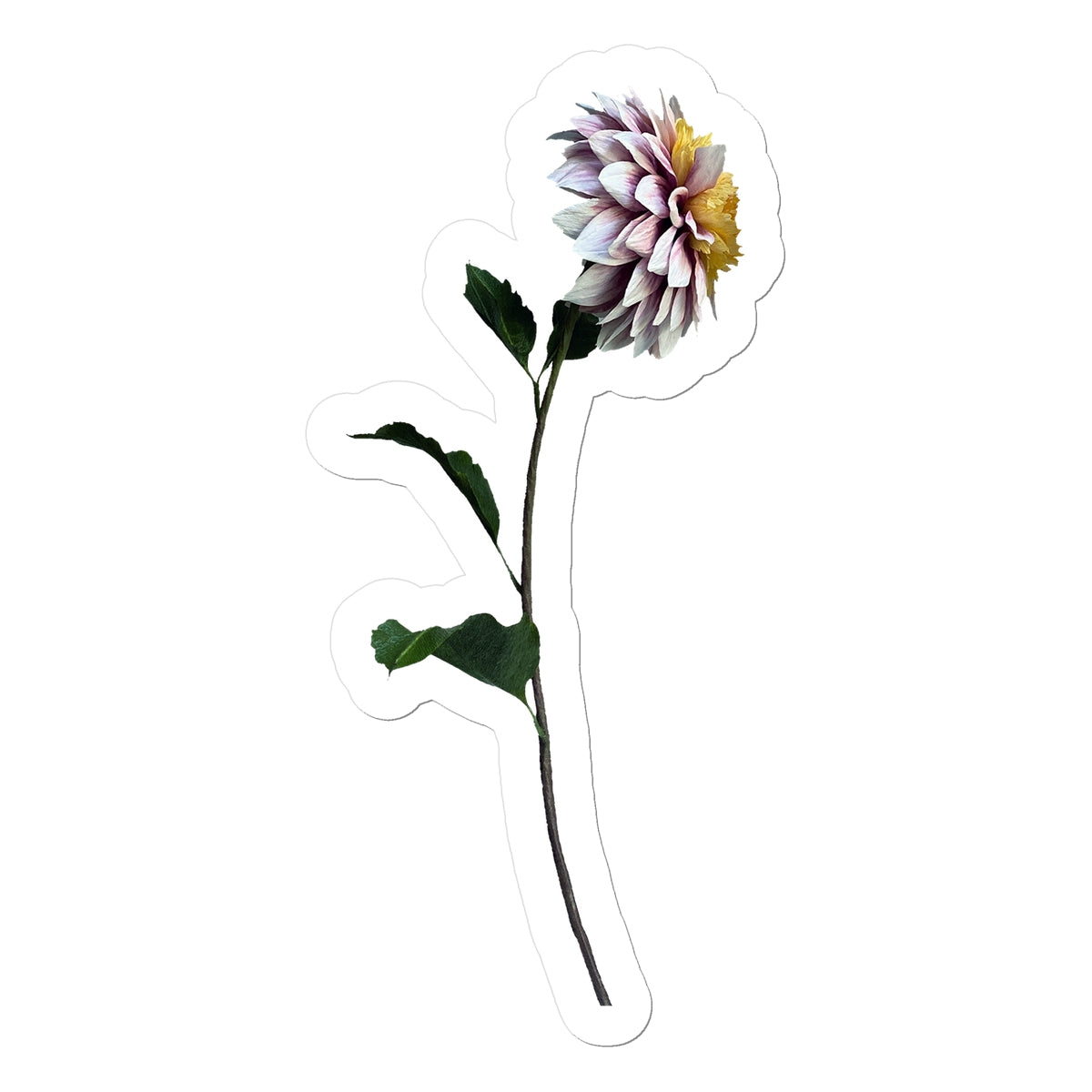 Dahlia Polka Sticker