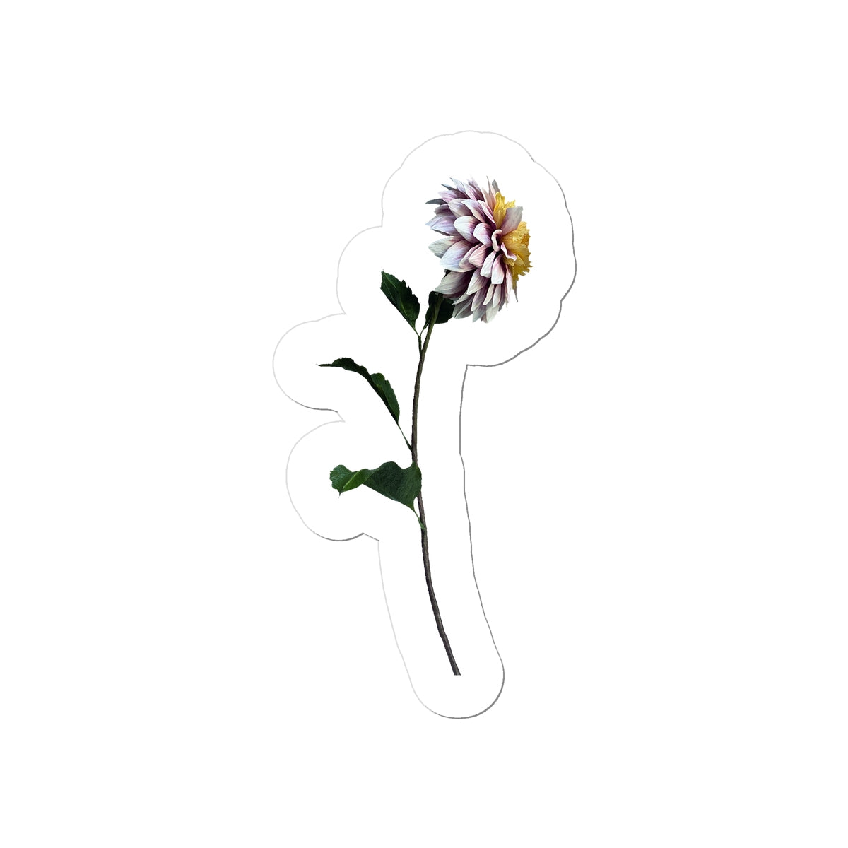 Dahlia Polka Sticker