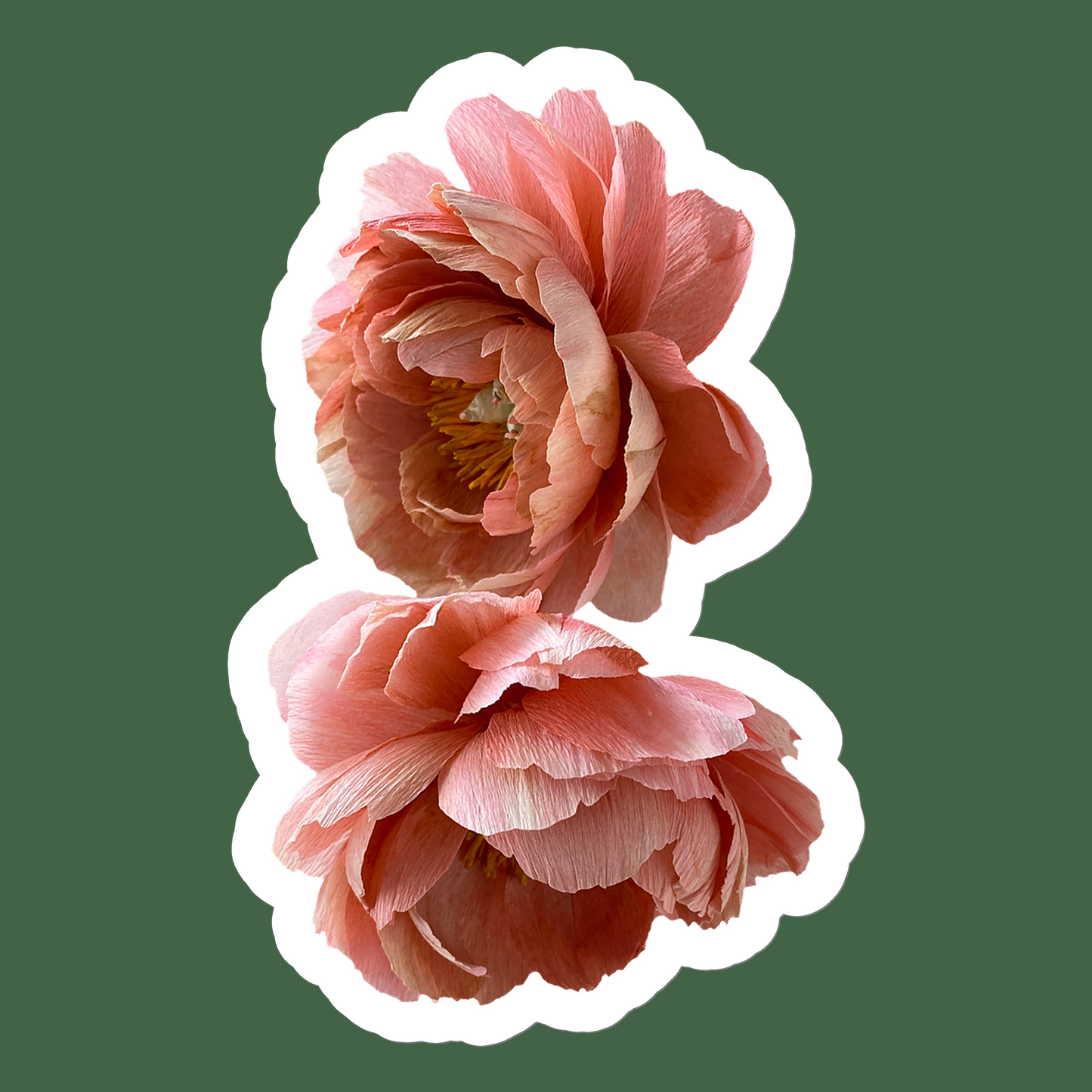 Coral Charm Sticker