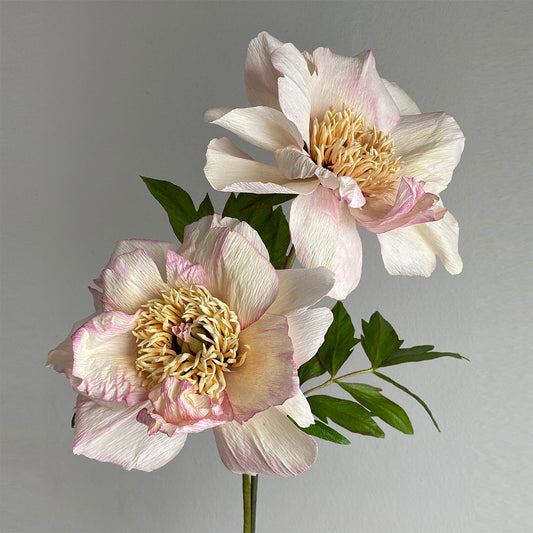 Savage Splendor Peony Course