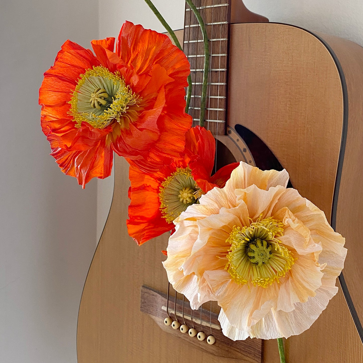 Icelandic Poppy Course