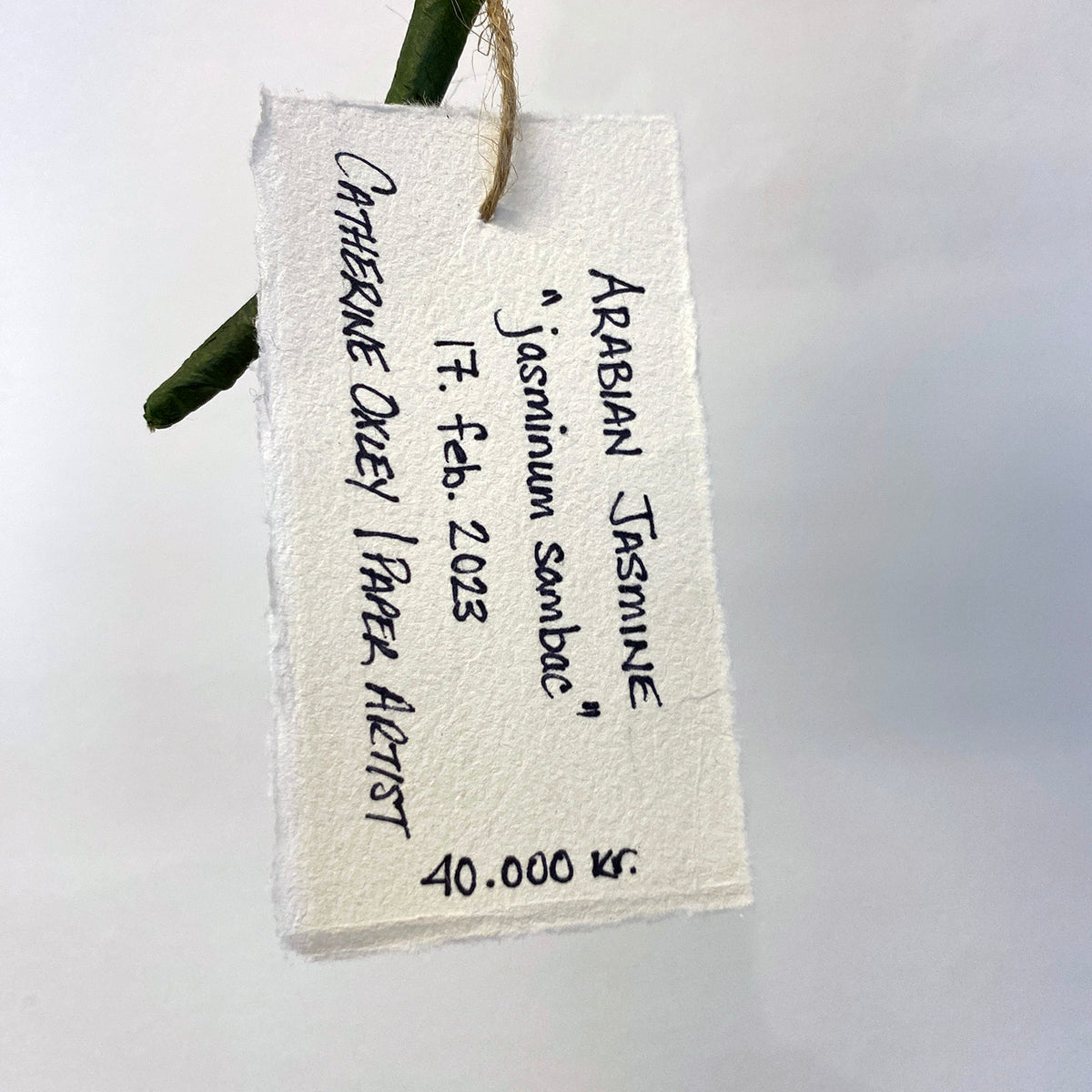 Arabian Jasmine