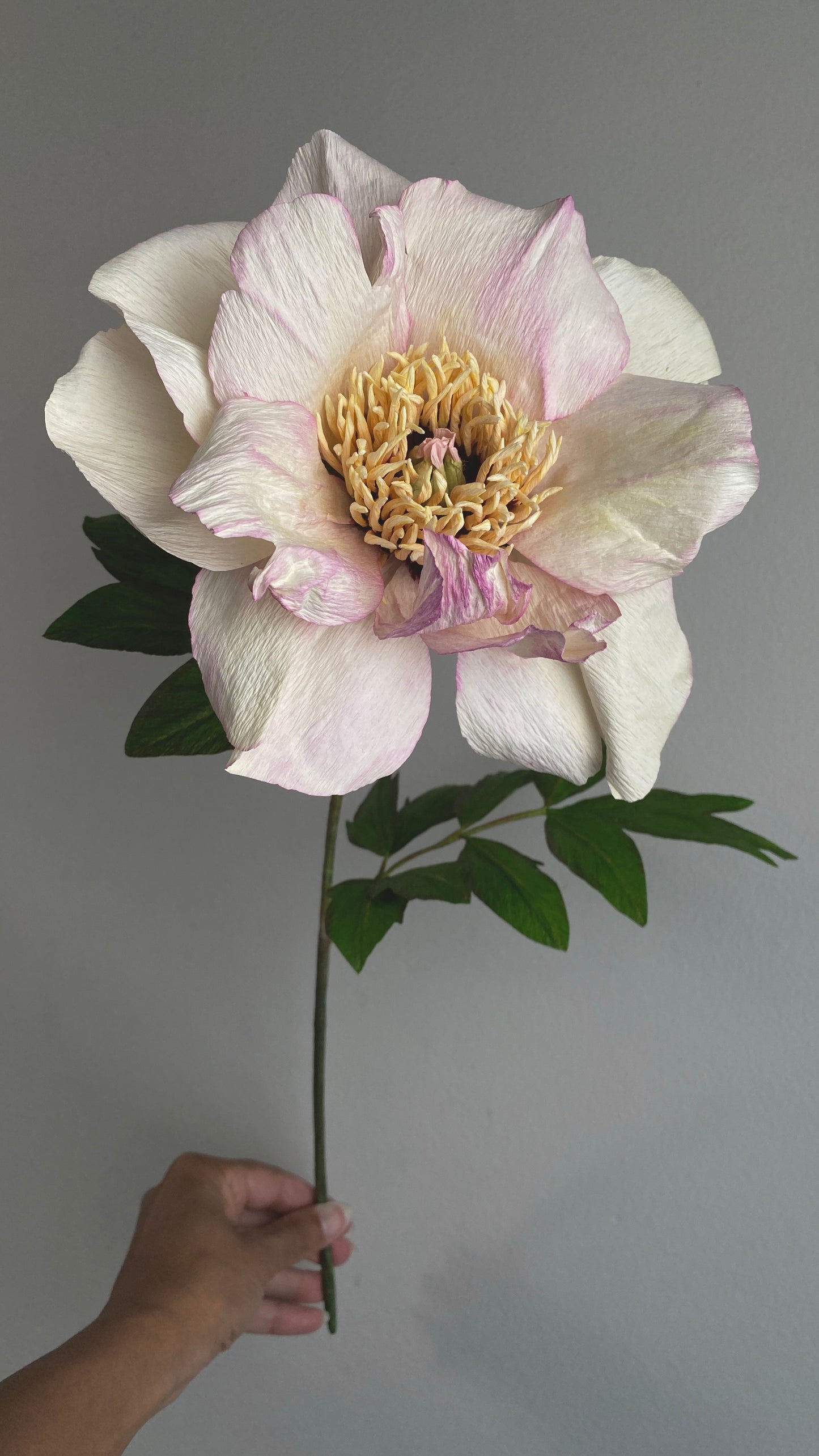 The International Paper Flower Workshop 2025 - Reykjavik, Iceland