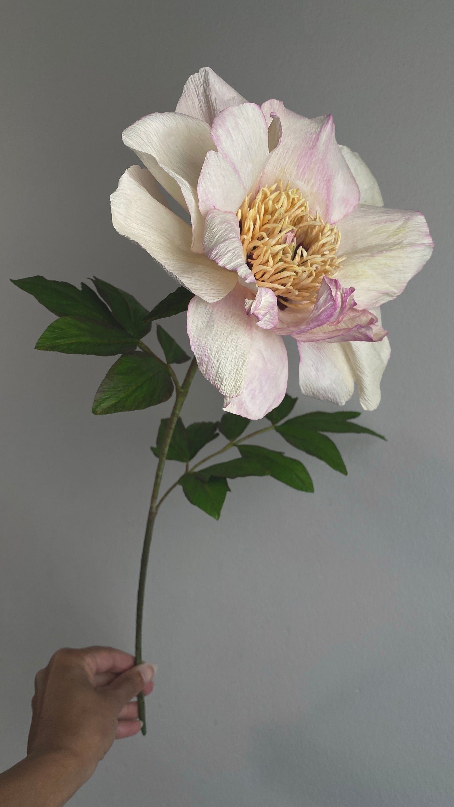 The International Paper Flower Workshop 2025 - Reykjavik, Iceland