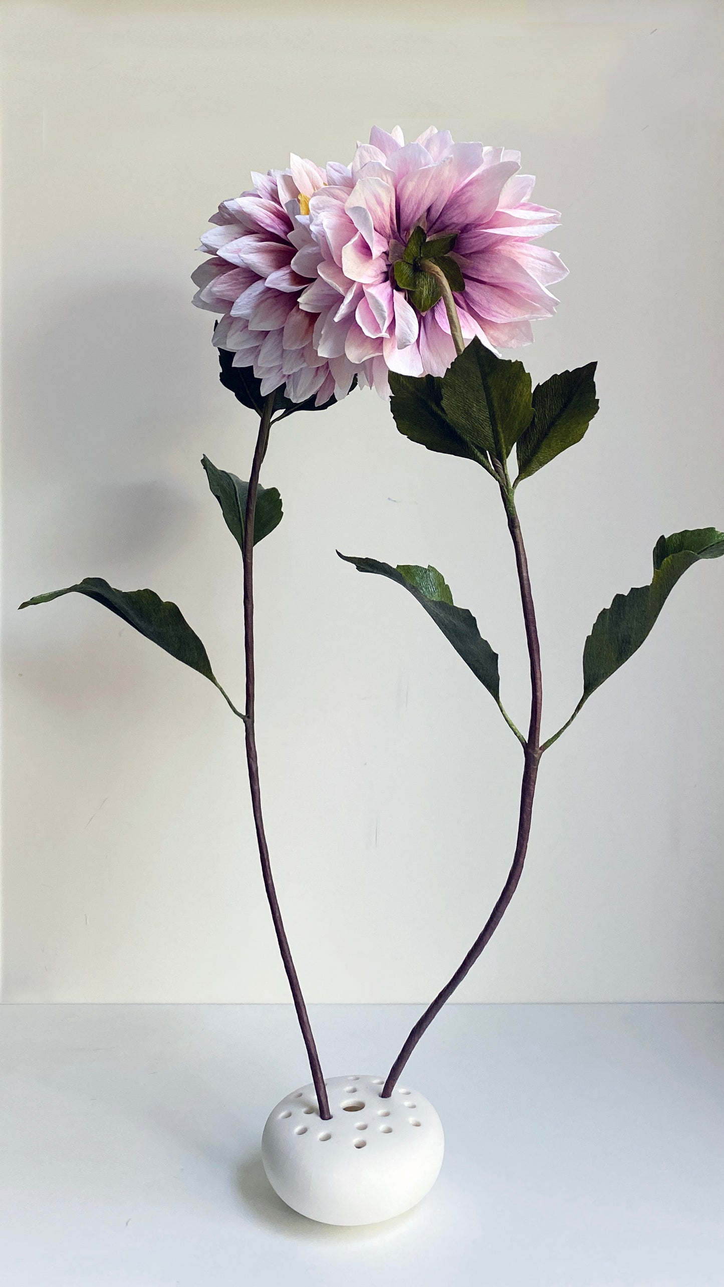 The Kiss Arrangement