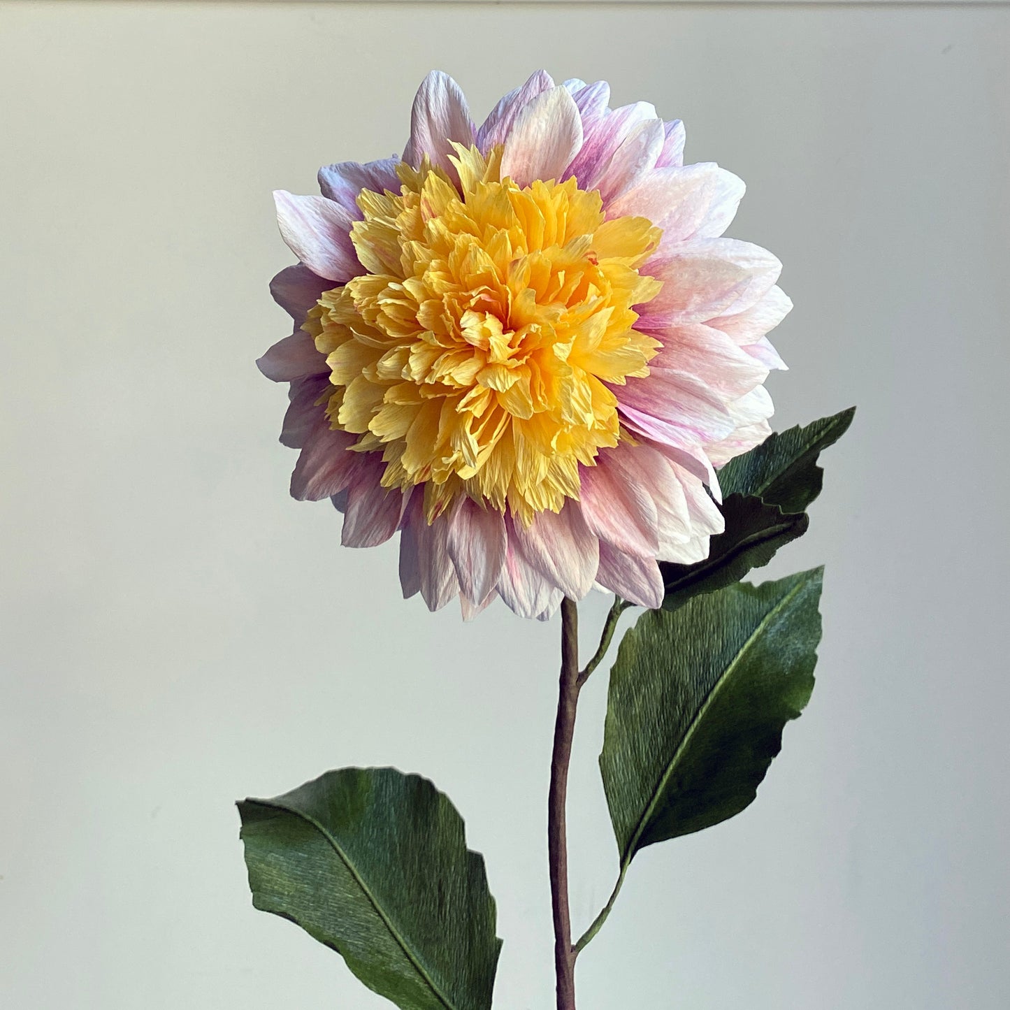 Dahlia Polka Course