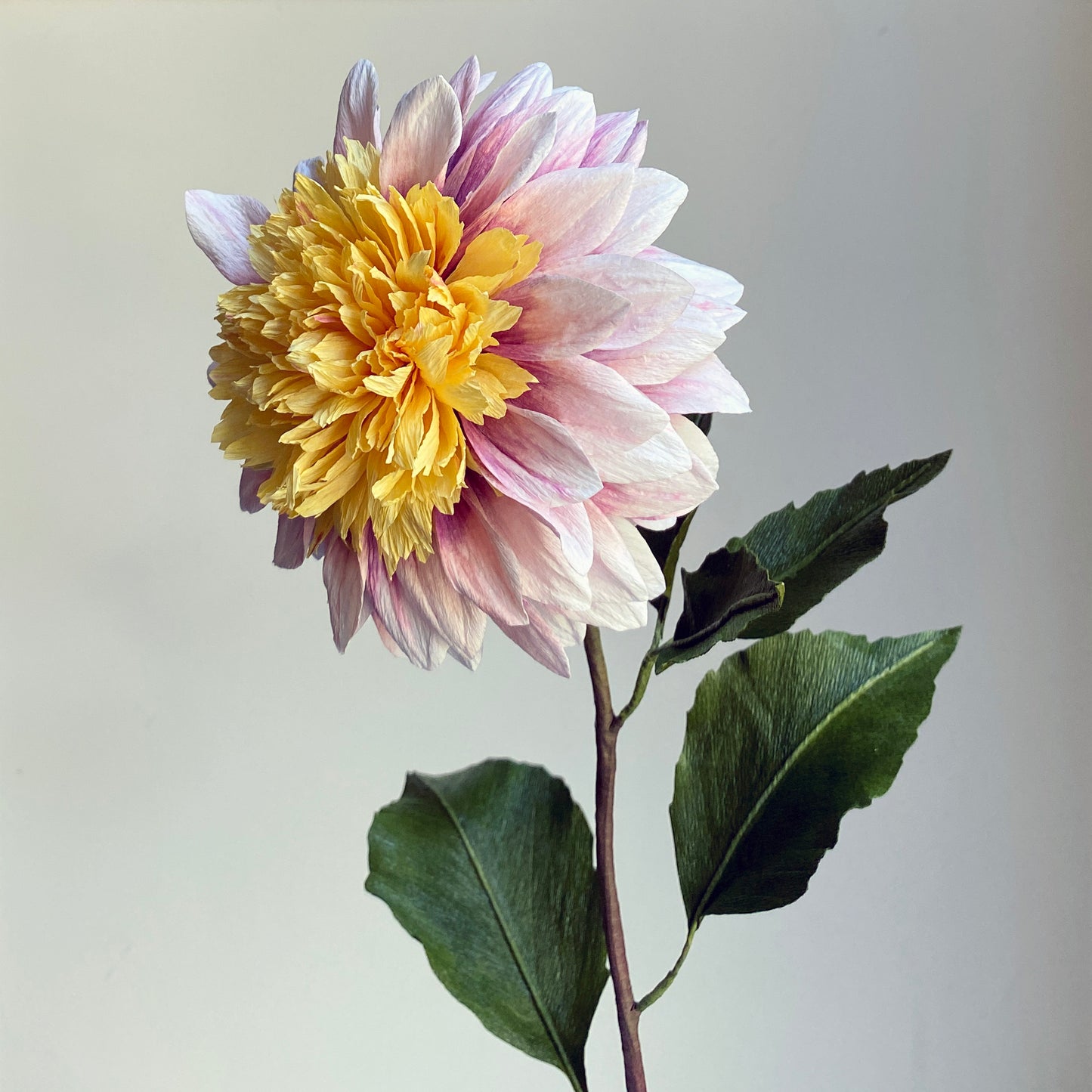 Dahlia Polka Course