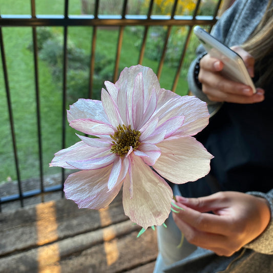 Unfold The Artistry of Paper Flowers at Country Cut Flowers