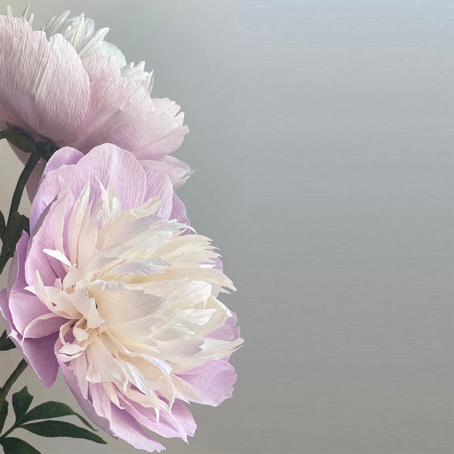 Bowl of Beauties Arrangement