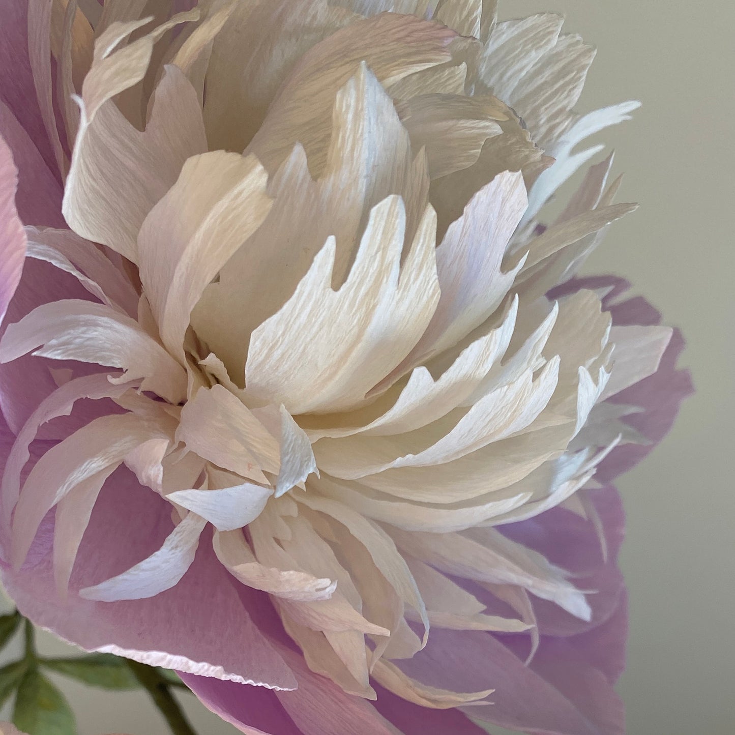 Bowl of Beauties Arrangement