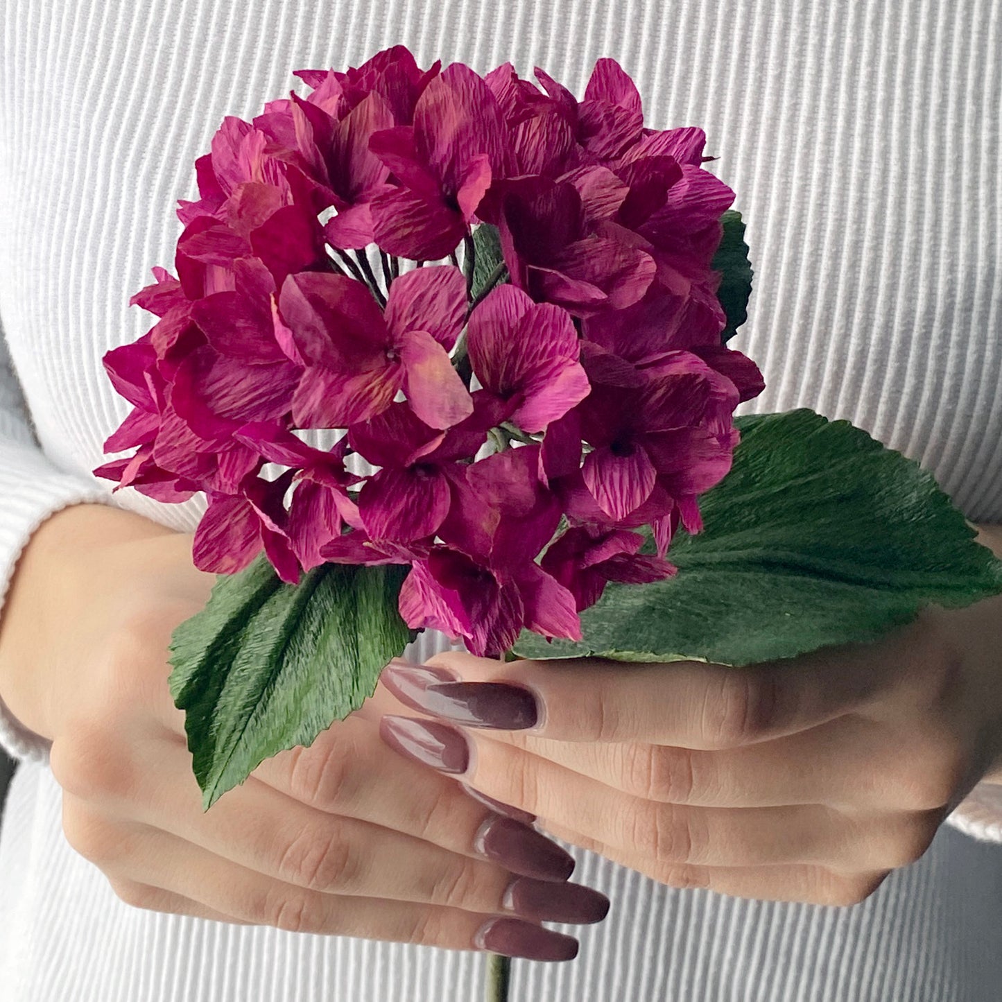Plómuhortensia