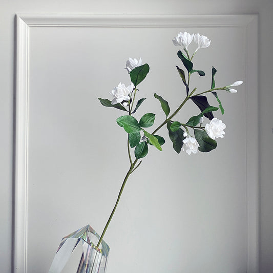 Jasmine Sambac Branch BOUQ Studio Box