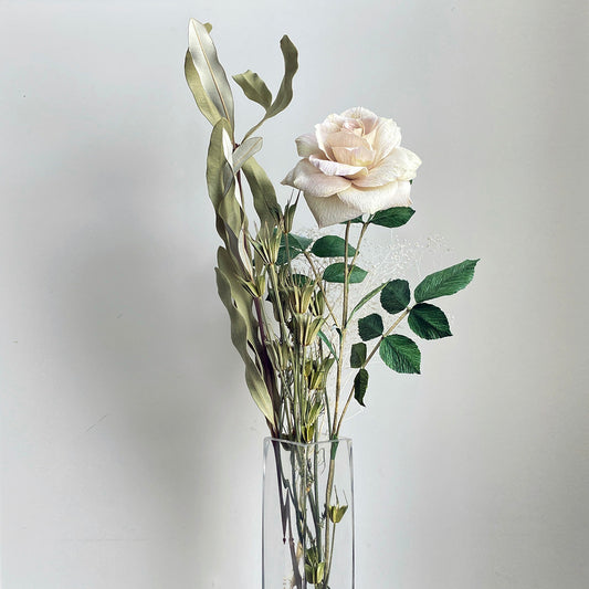 The Anna Arrangement