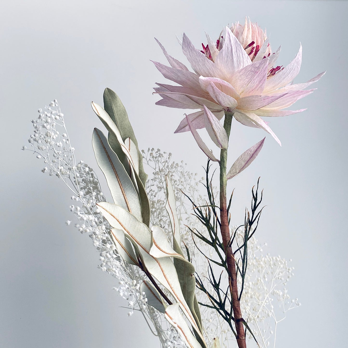 The Lesedi Arrangement