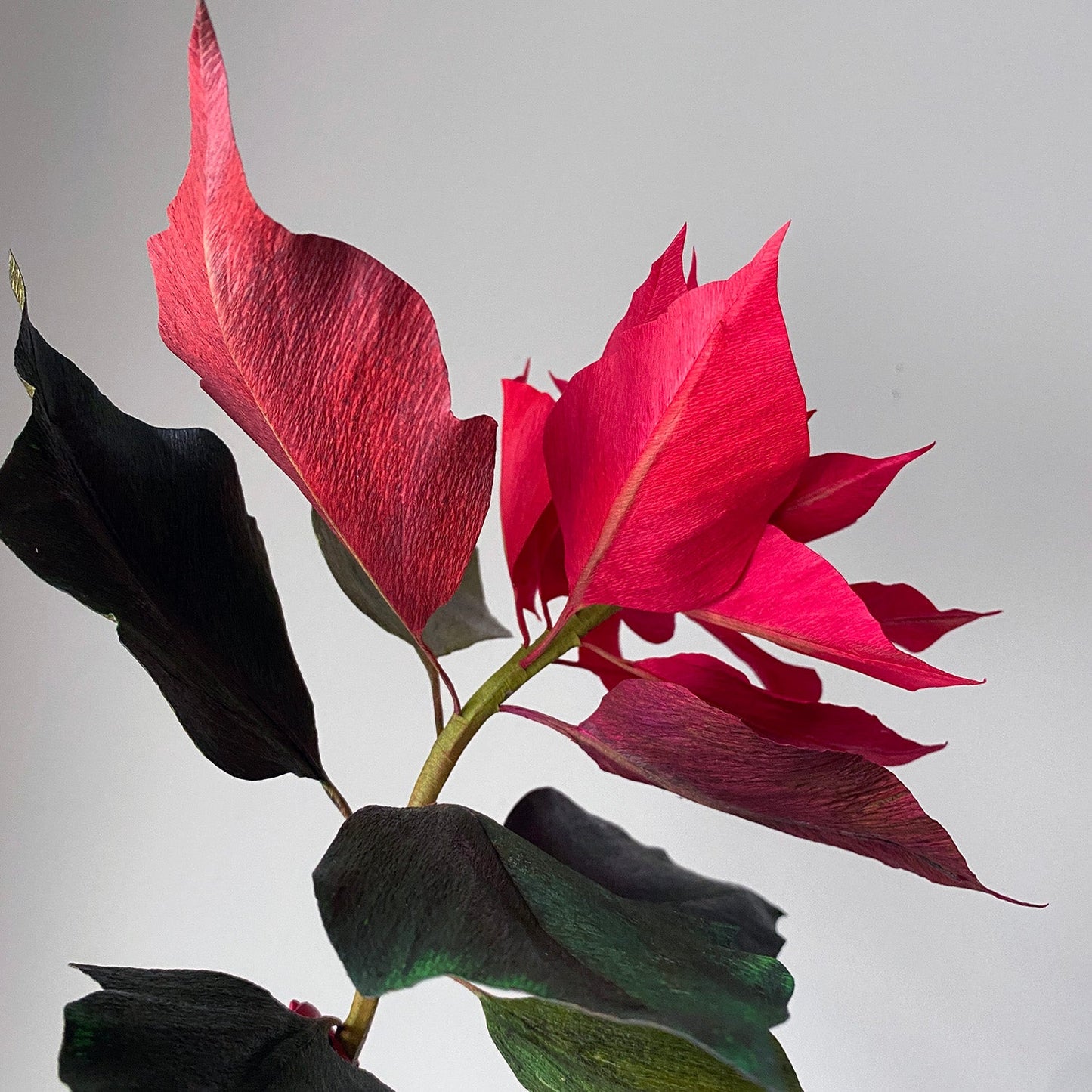 The Paper Poinsettia Zoom Demo - Watch The Pre-Recorded Class