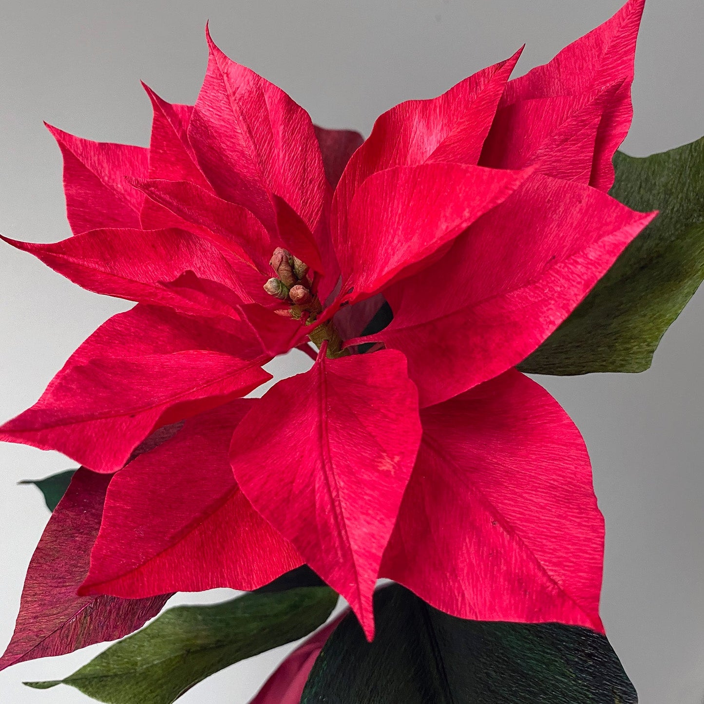 The Paper Poinsettia Zoom Demo - Watch The Pre-Recorded Class