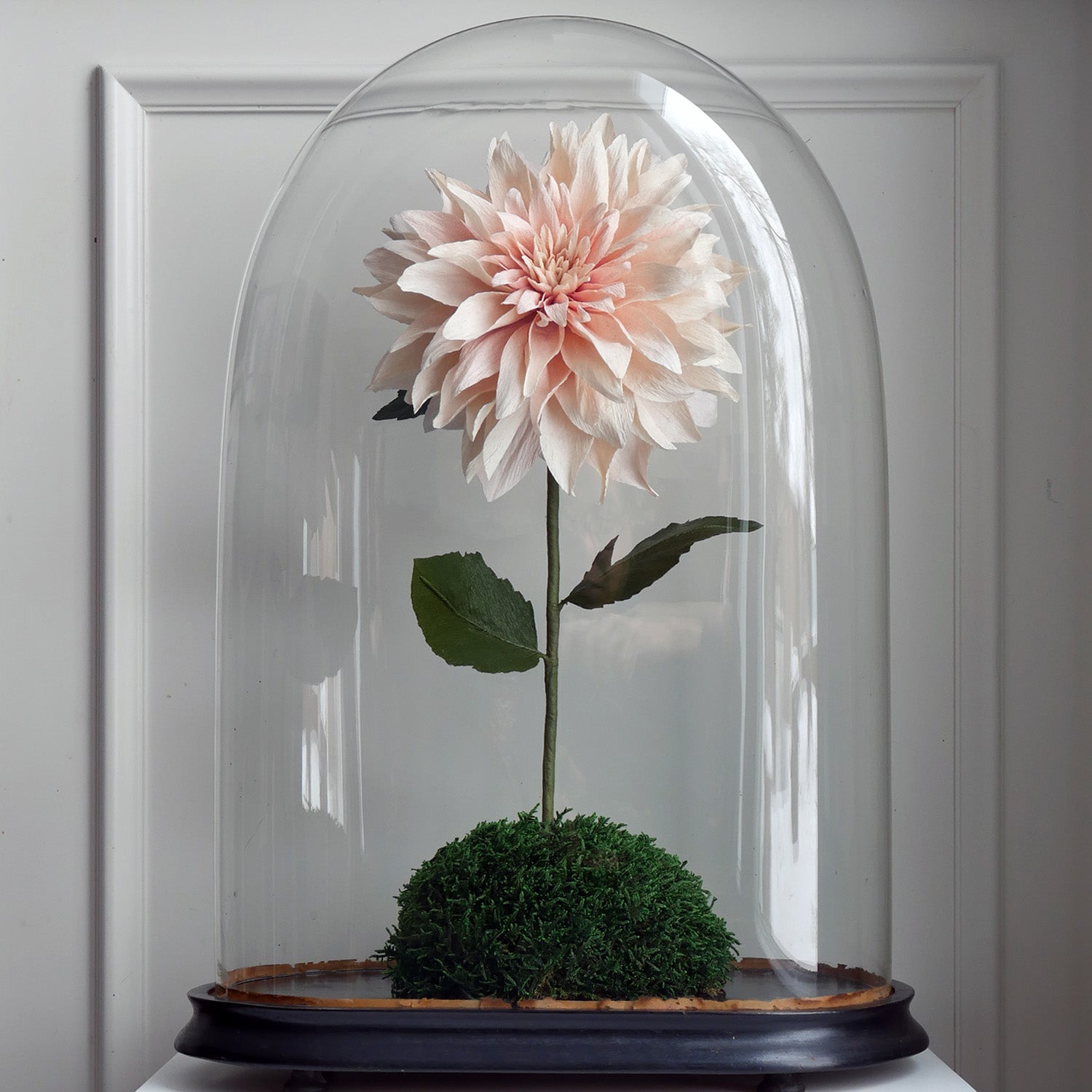 dahlia seeds cafe au lait Cafe Au Lait Dahlia – BOUQ Paper Flowers