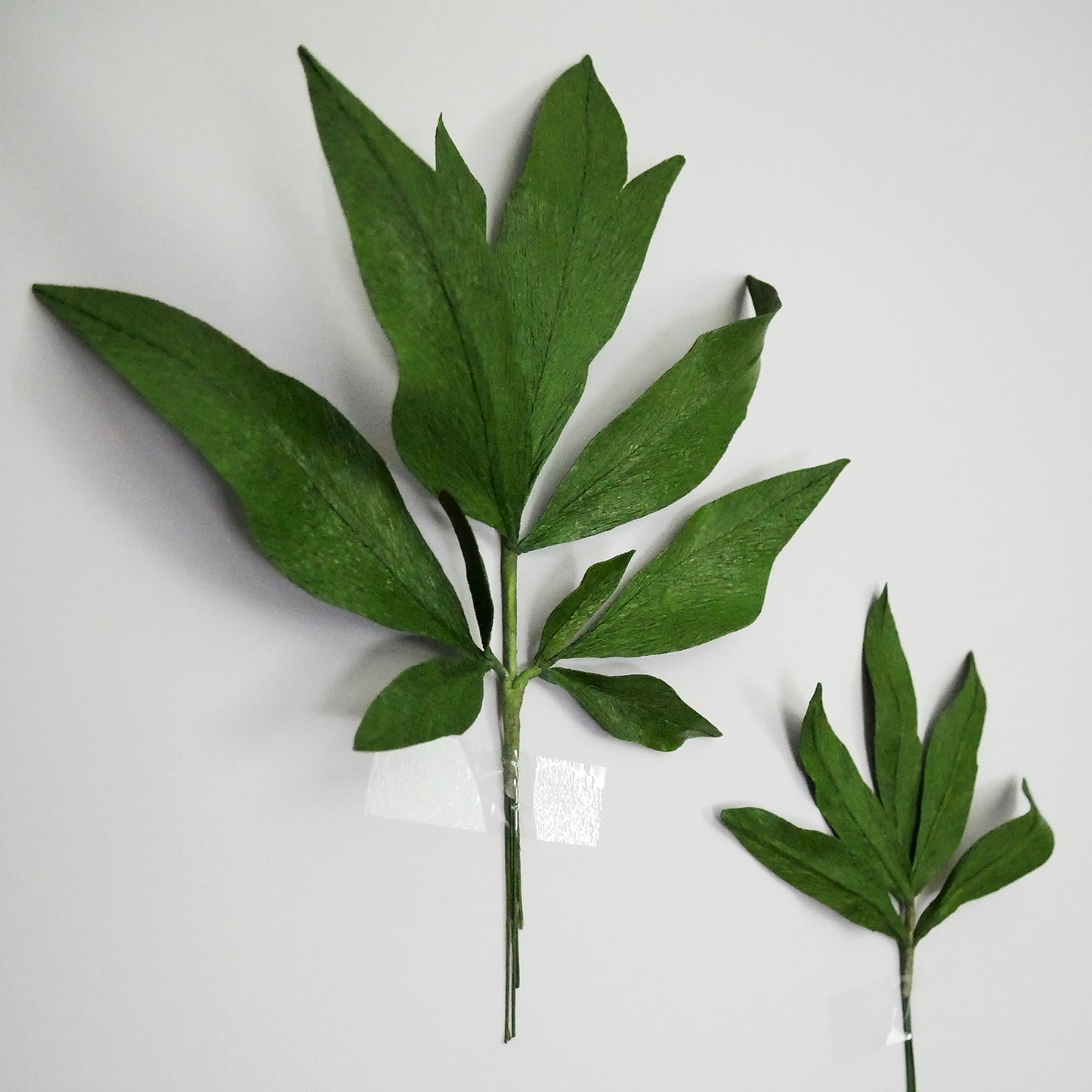 Lush Peony Foliage Course