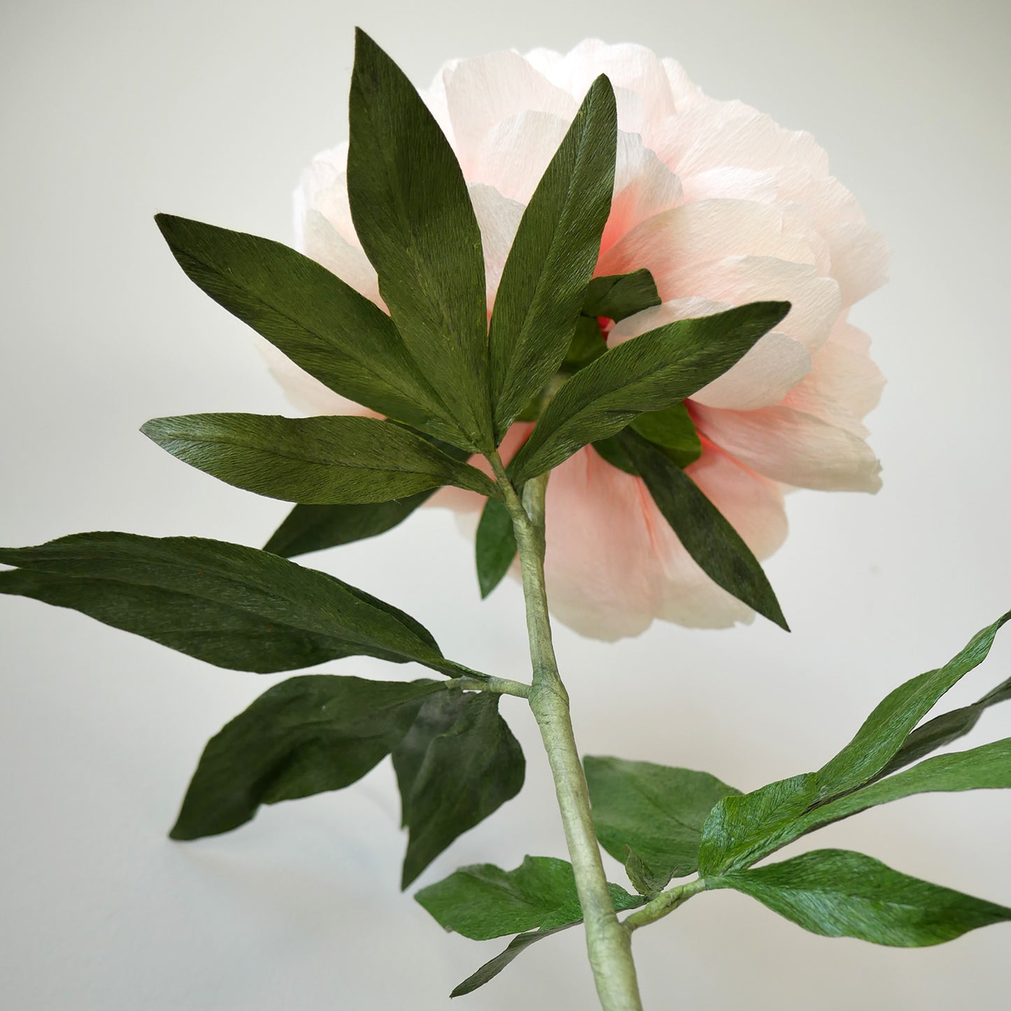 Lush Peony Foliage Course