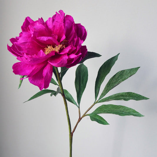 Fuchsia Tree Peony Course