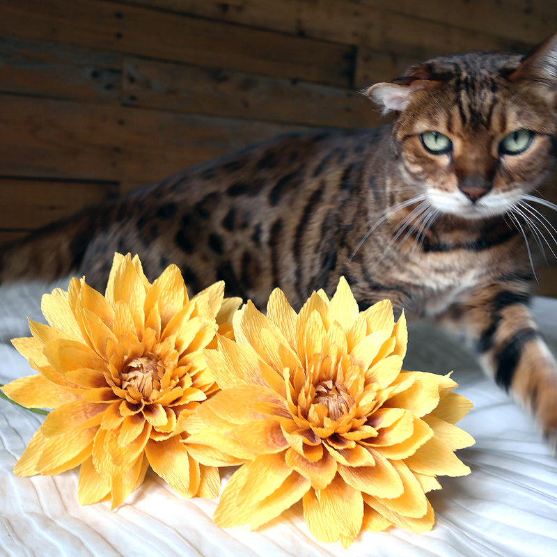 Keeping Your Pets Safe At Home When Bringing In Fresh Flowers