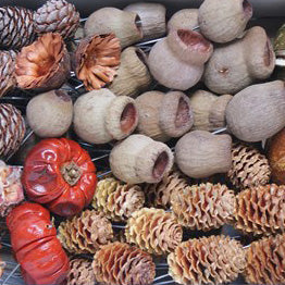 Wood Products