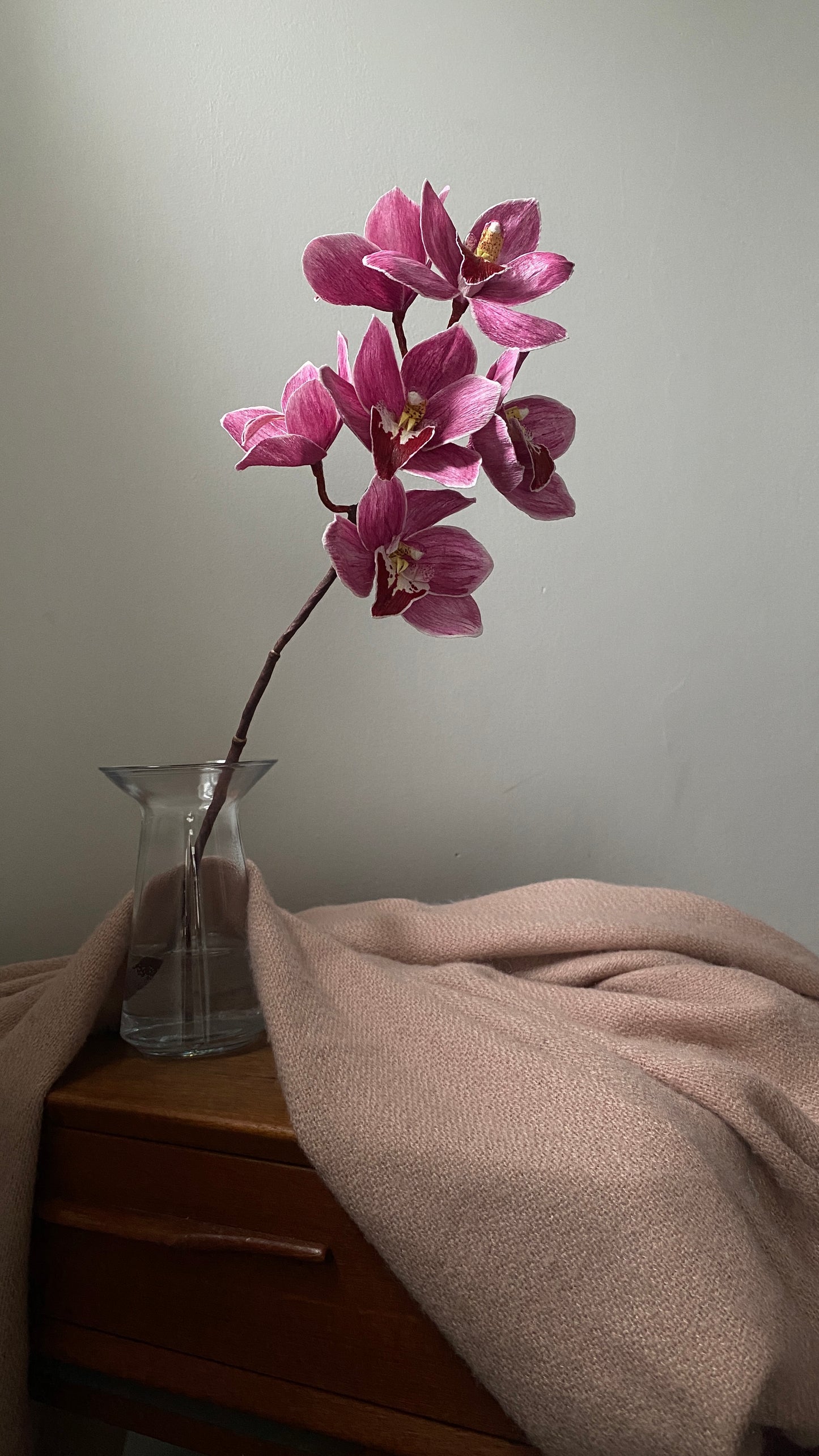 The International Paper Flower Workshop 2025 - Reykjavik, Iceland