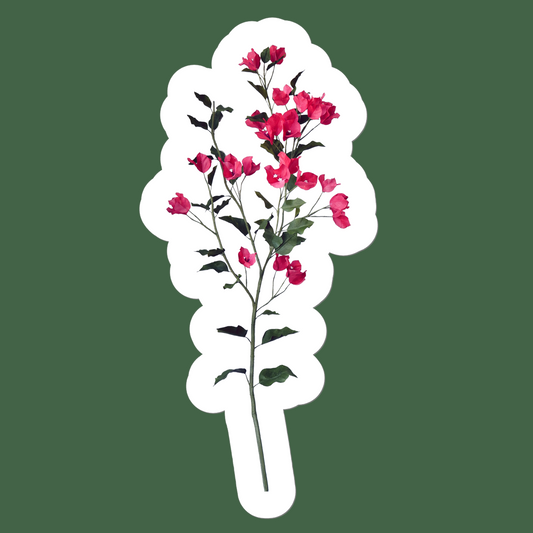 Bougainvillea Sticker