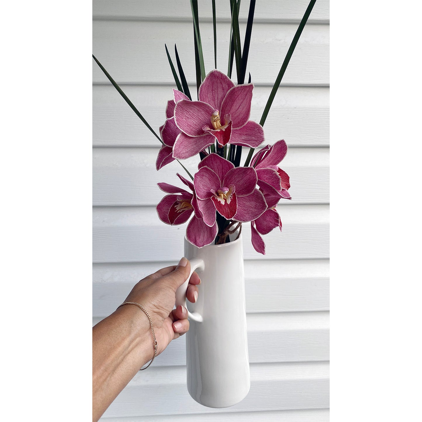 Little Fireball Orchid Stem