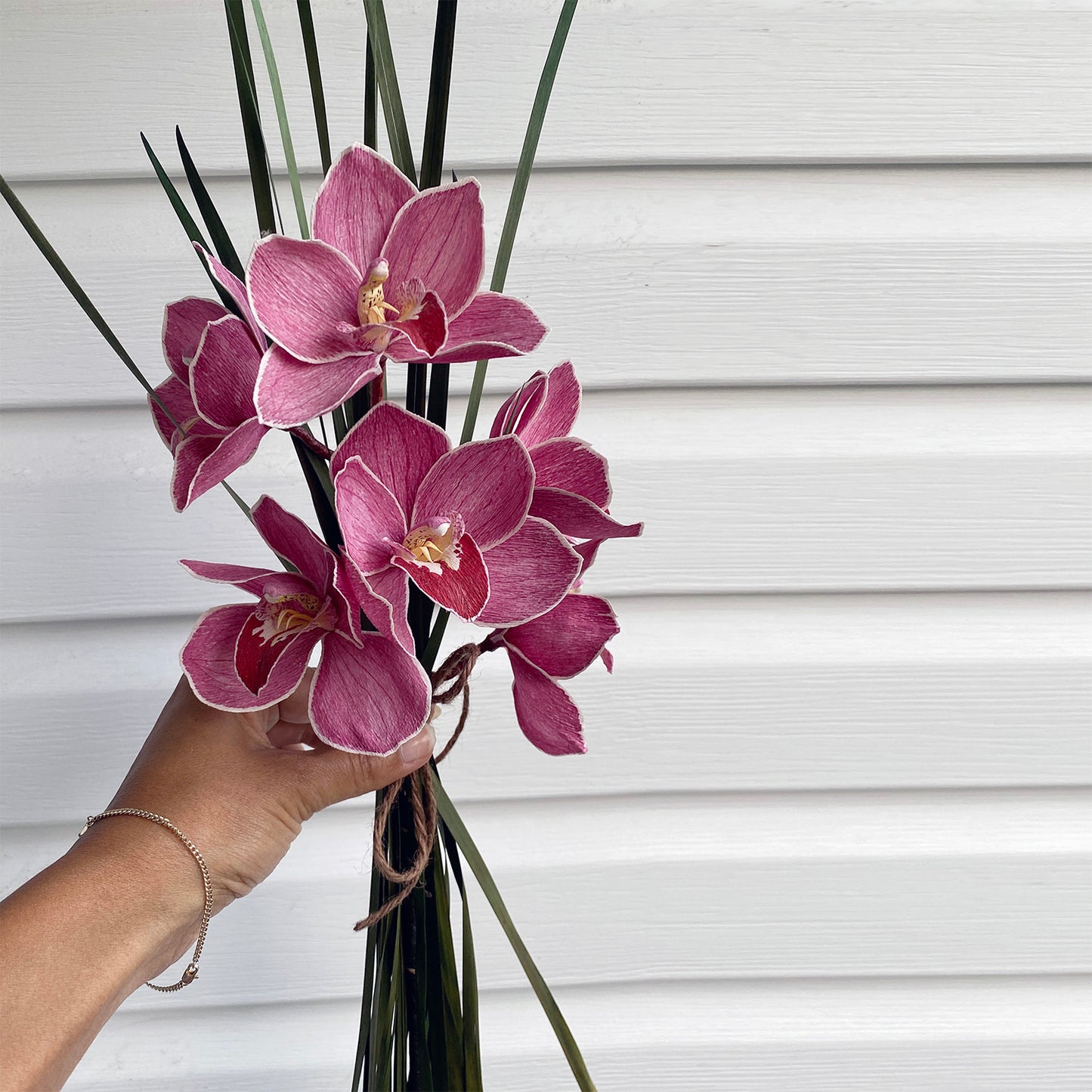 Little Fireball Orchid Stem