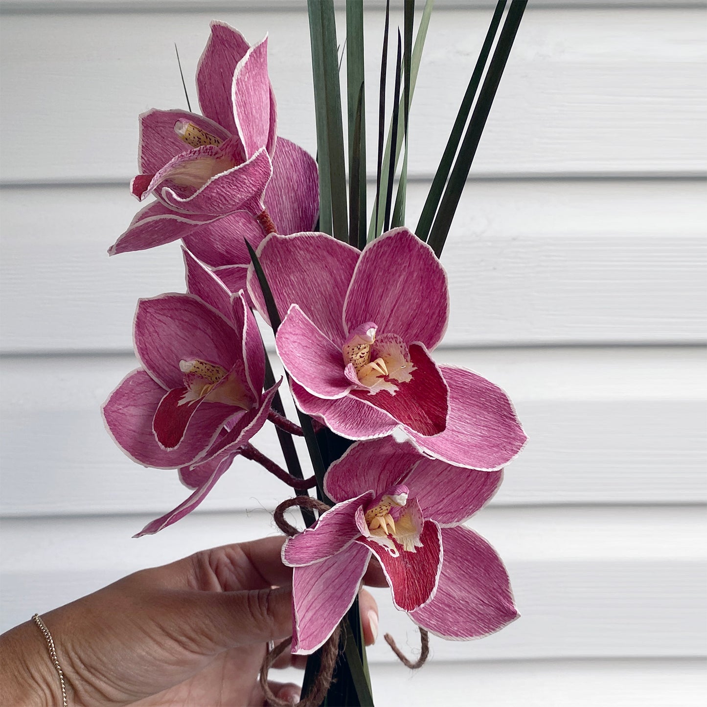 Little Fireball Orchid Stem