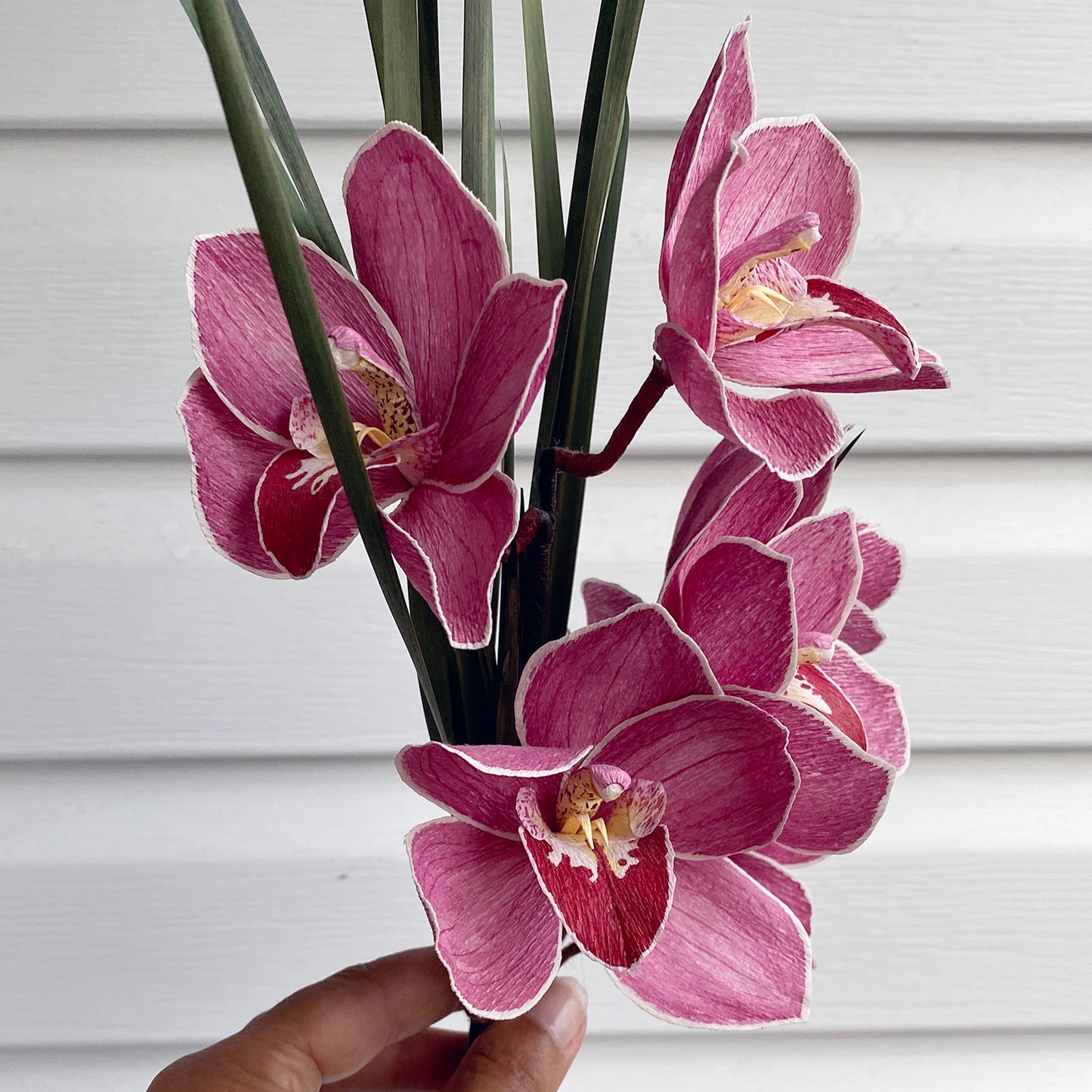 Little Fireball Orchid Stem