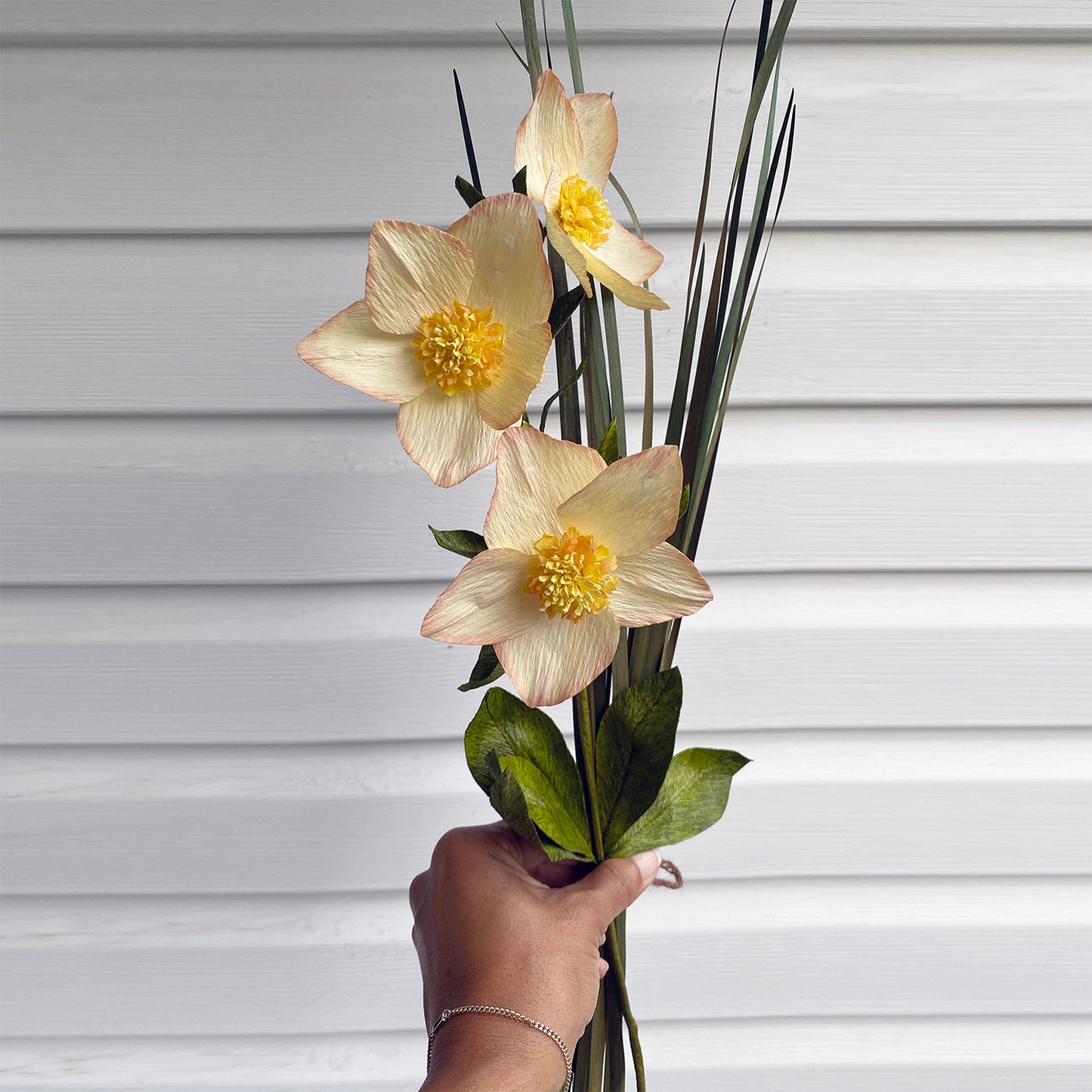 Three-Flower Hellebore Stem