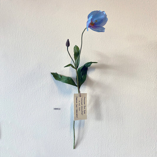 Himalayan Blue Poppy