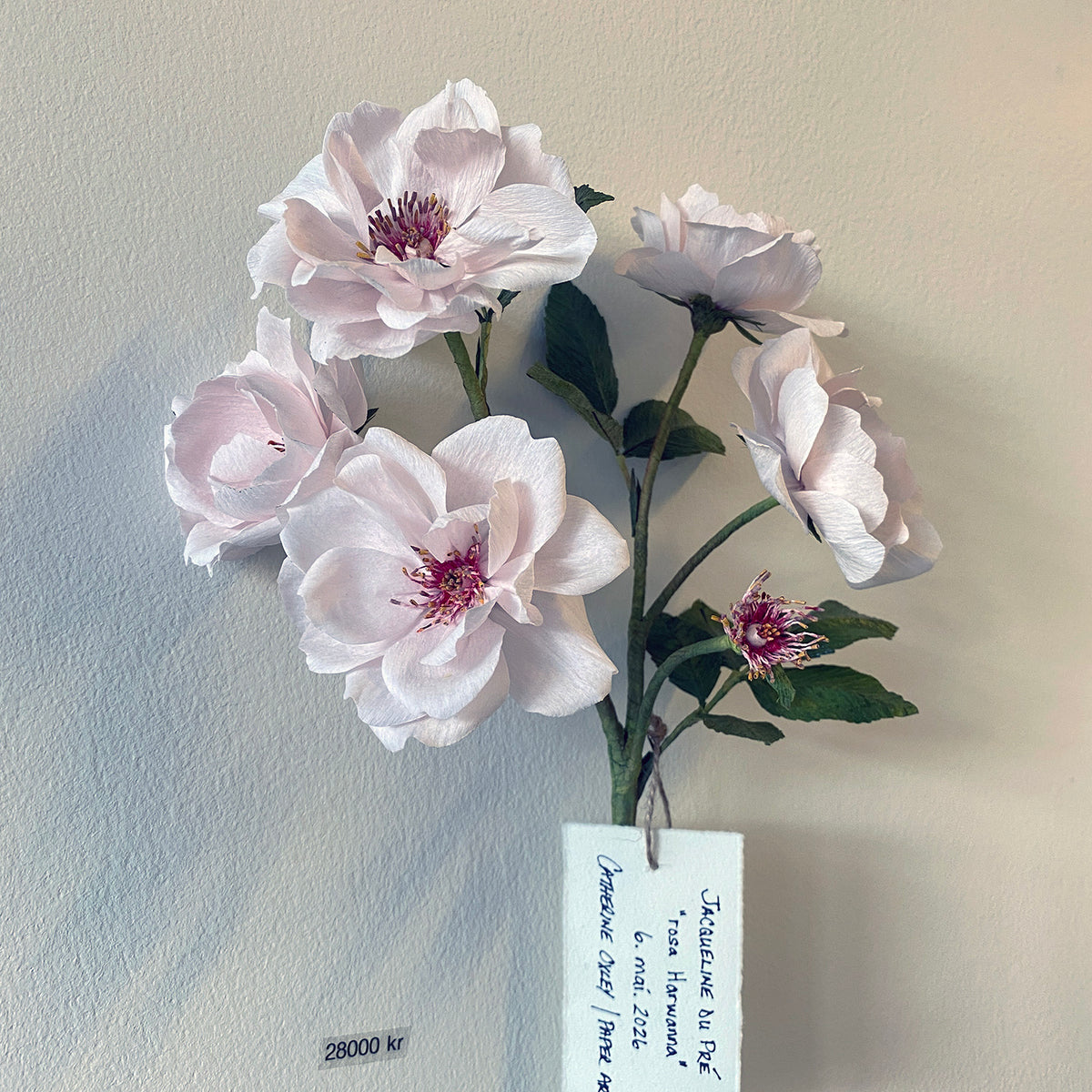 Jacqueline Du Pre Roses