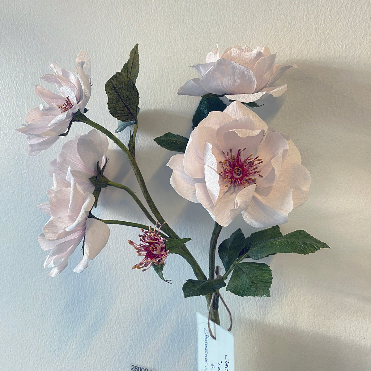 Jacqueline Du Pre Roses