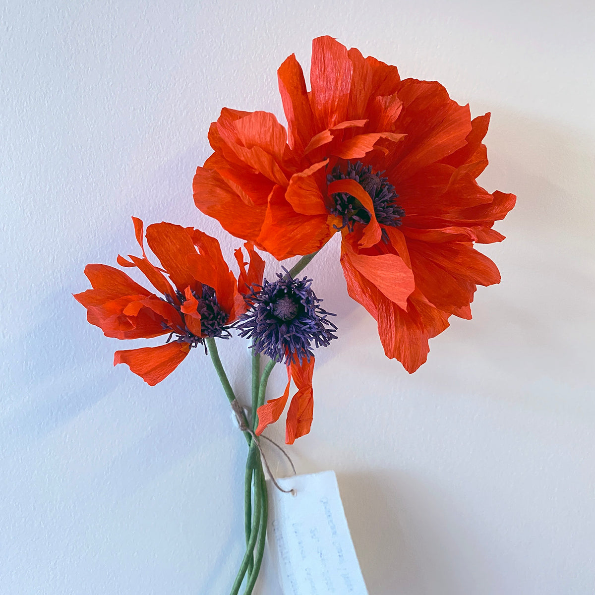 Oriental Poppies