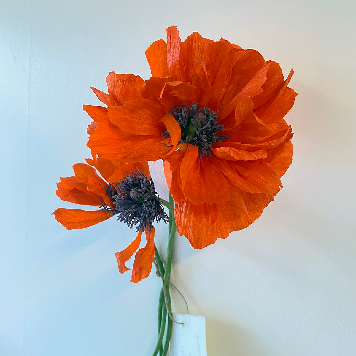 Oriental Poppies