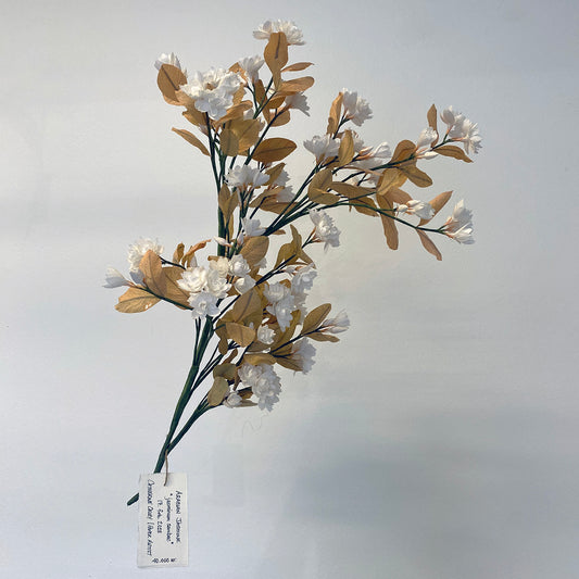 Arabian Jasmine