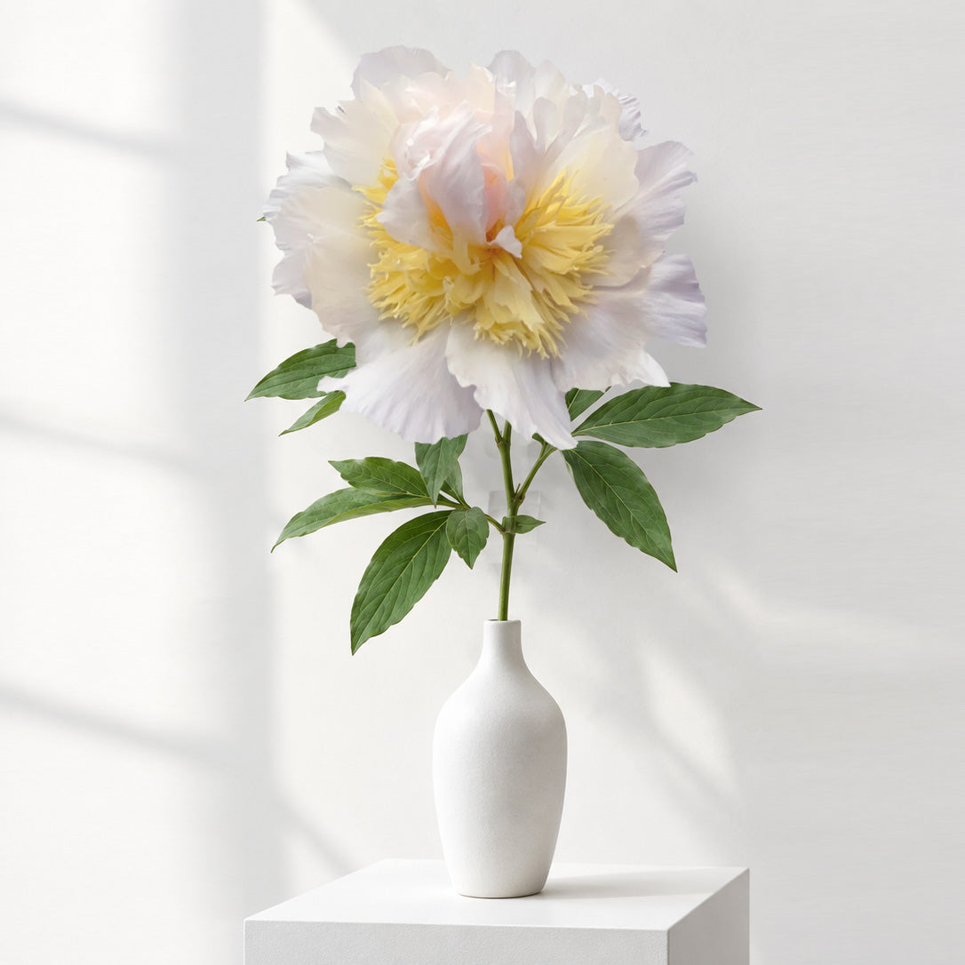 The "Top Brass" Peony Paper Flower Workshop - Museum of Applied Arts and Design, Garðabær, Iceland