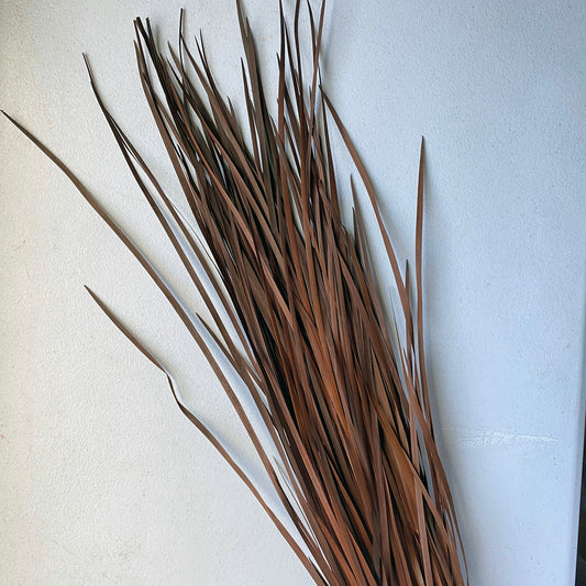 Wild Grass (Brown)