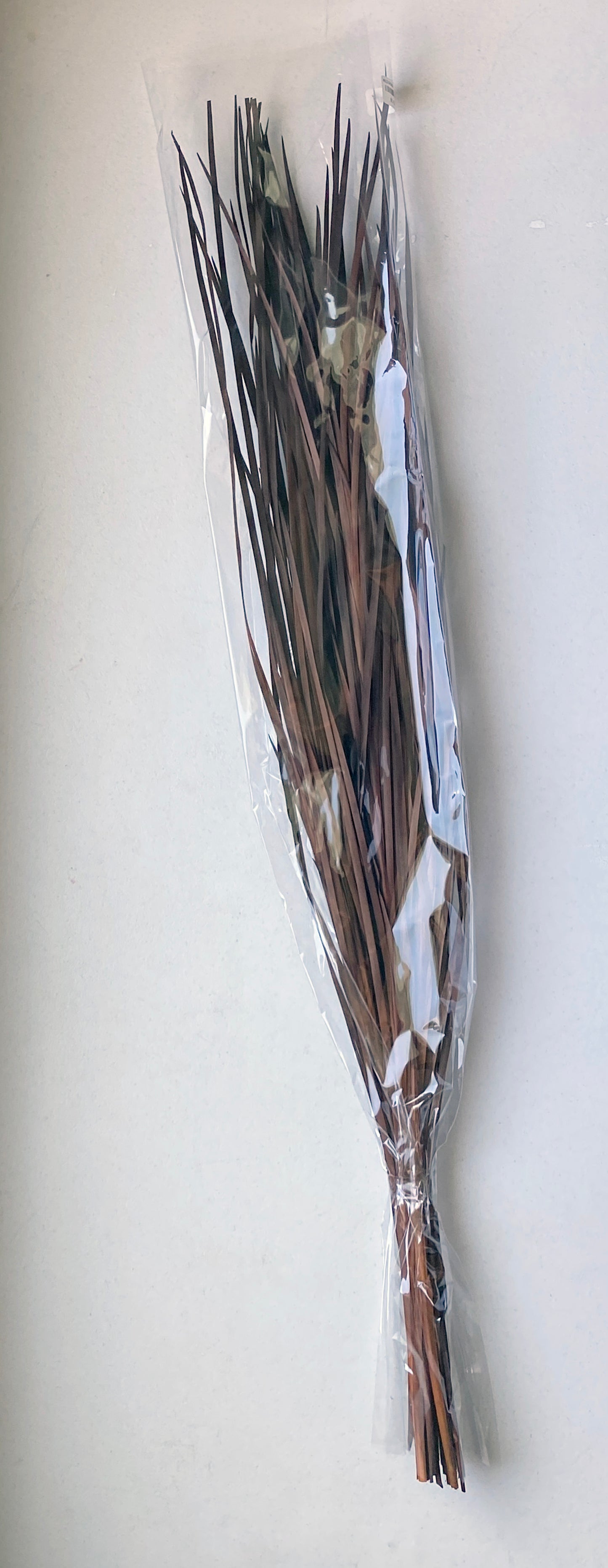 Wild Grass (Brown)