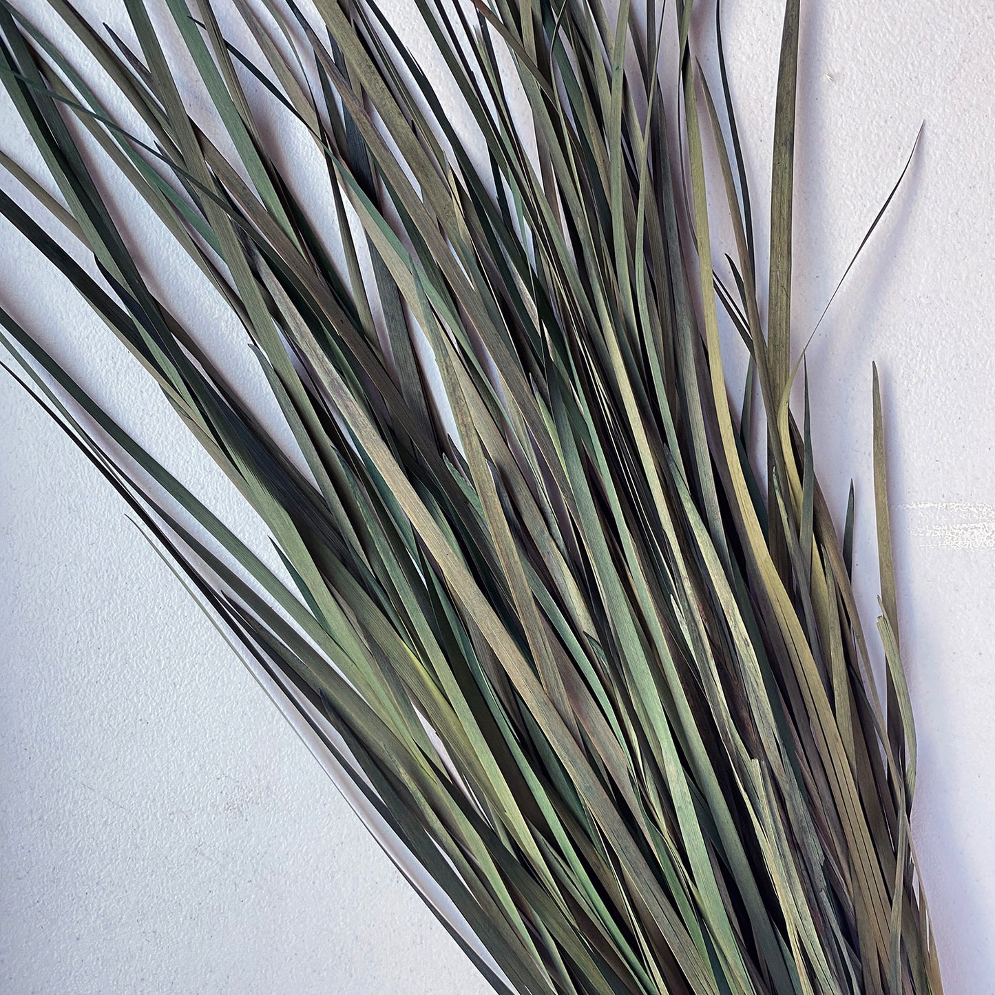 Wild Grass (Green)