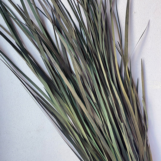 Wild Grass (Green)