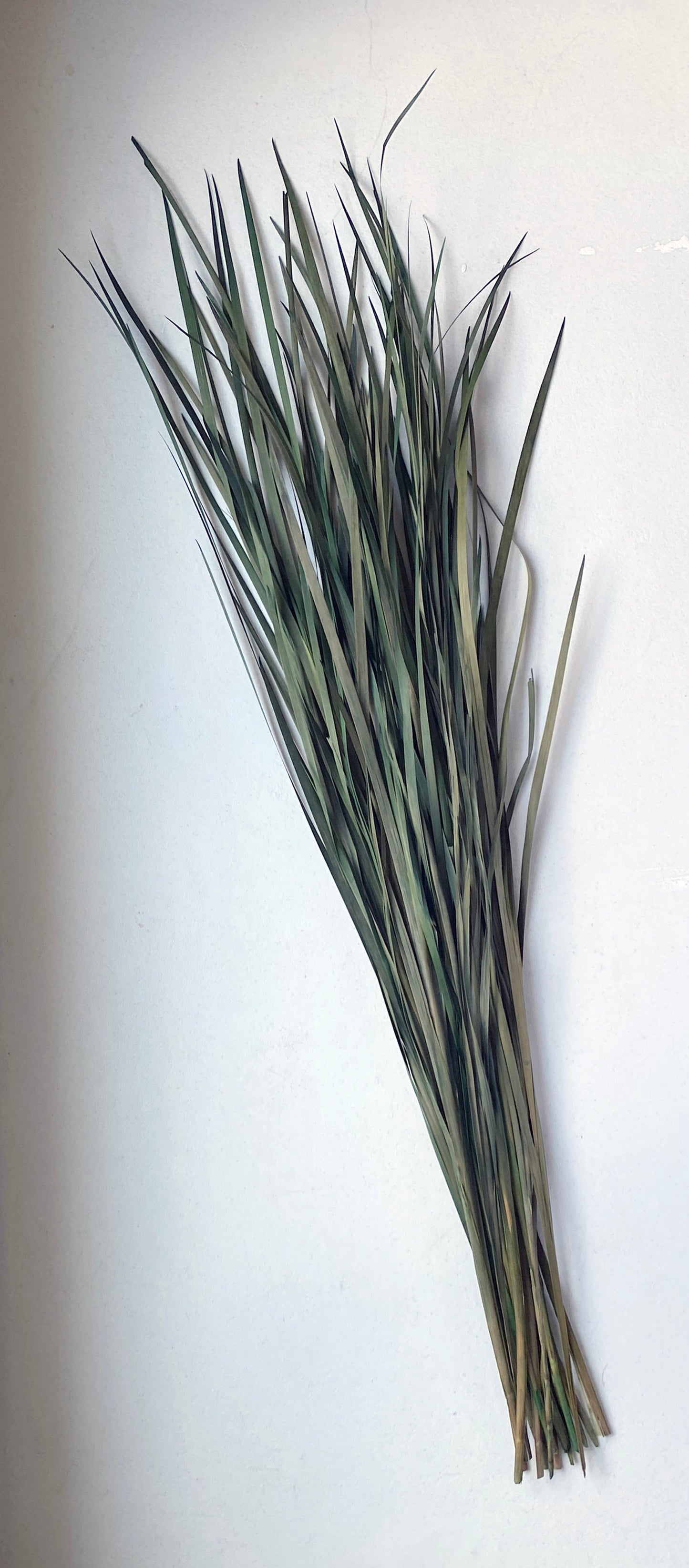 Wild Grass (Green)
