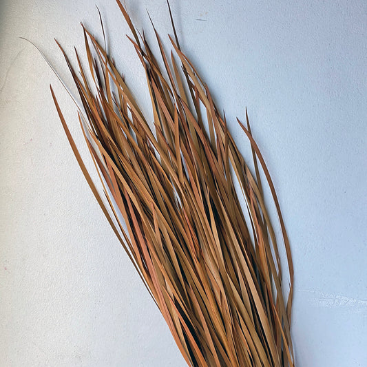 Wild Grass (Orange)